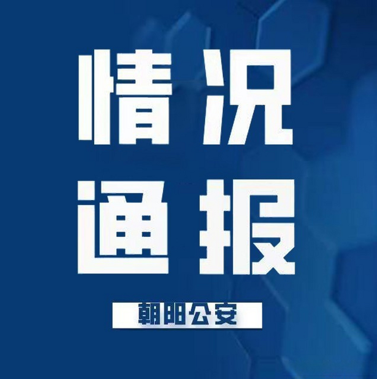 最新動(dòng)態(tài)揭示，平凡日常的溫馨故事