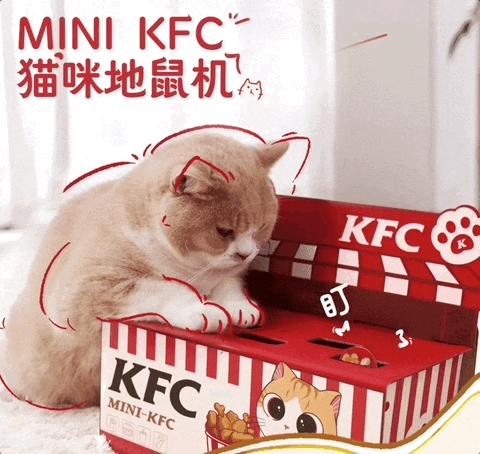 肯德基兒童套餐最新贈(zèng)品，學(xué)習(xí)與成長(zhǎng)的力量之源