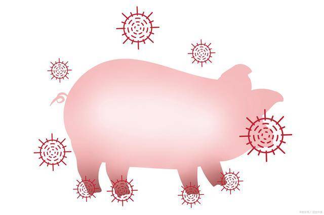 豬瘟疫情最新動態(tài)，一場與自然美景的輕松遨游之旅