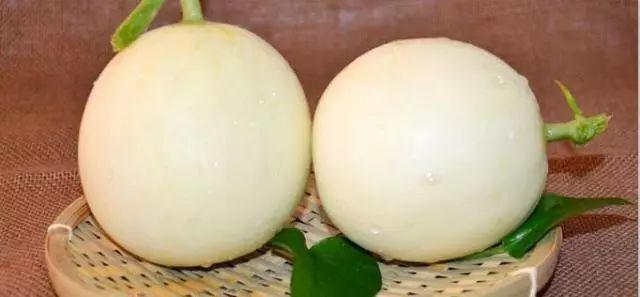 莘縣燕店鎮(zhèn)甜瓜價(jià)格，時(shí)代甜香記憶的探尋