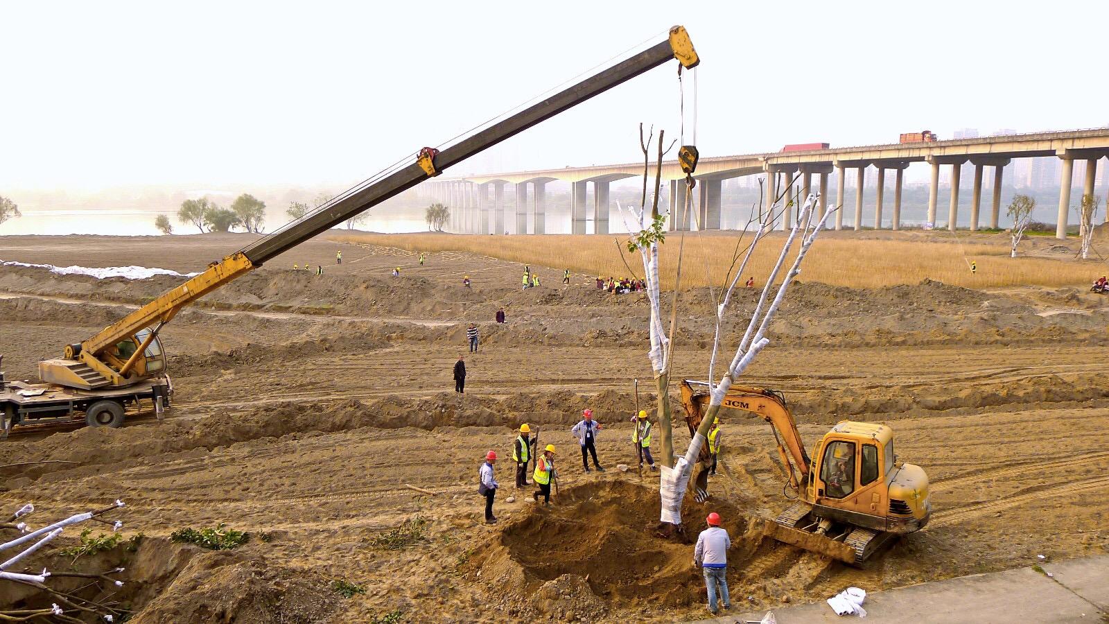 南充下中壩最新建設(shè)圖，城市發(fā)展的多維視角與深度分析