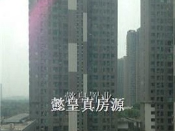 洛陽泉舜房價(jià)最新動態(tài)全面解析，如何獲取與理解房價(jià)走勢及最新消息