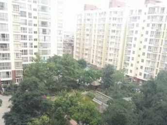 晉州盛世毫庭最新動(dòng)態(tài)更新