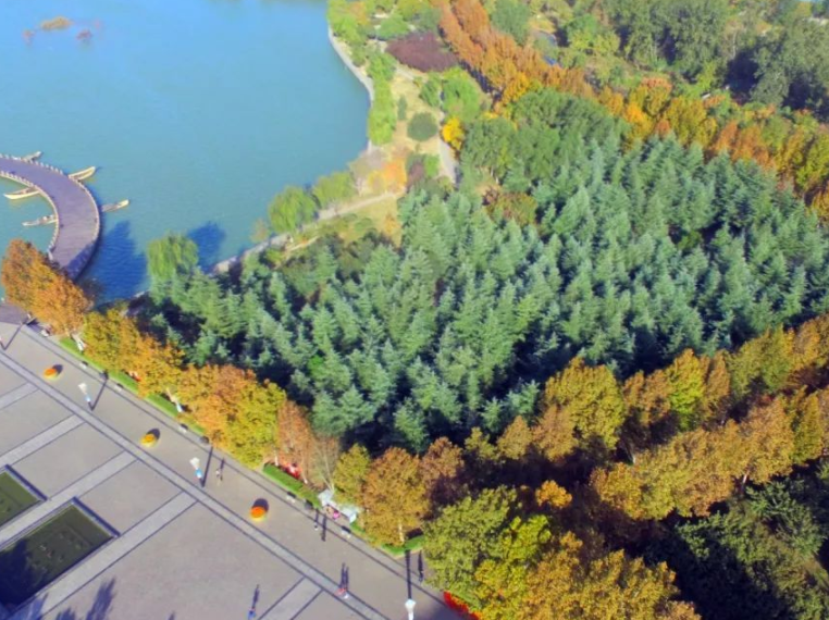 焦作沁泉湖最新動態(tài)更新