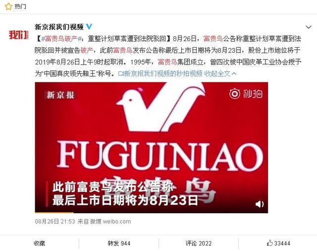 富貴鳥(niǎo)逆境重生，破產(chǎn)背后的力量與變化之美