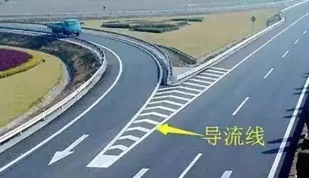 成金青快速路最新動(dòng)態(tài)，日常趣事與情感紐帶揭秘