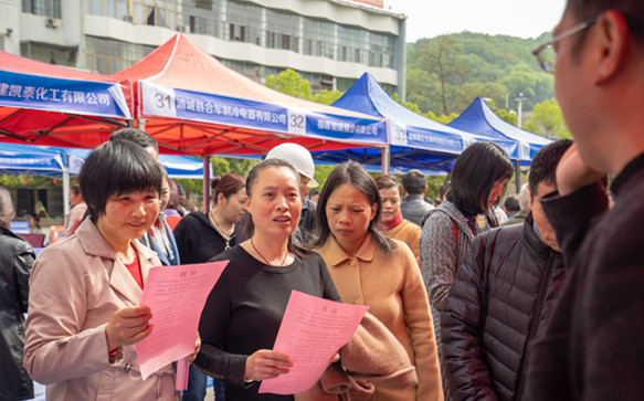 浦城縣招聘網(wǎng)最新招聘，職業(yè)發(fā)展的起點之門