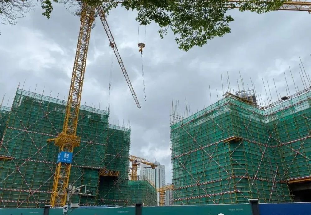 湖貝舊改最新進(jìn)展更新，最新動(dòng)態(tài)揭秘