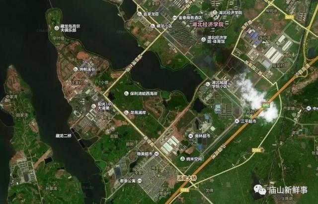 藏龍島二小最新動態(tài)揭秘，小巷特色小店探秘之旅