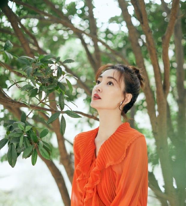 王麗坤最新電視劇，巷弄深處的星光與獨特小店之旅