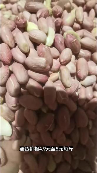帶殼花生最新批發(fā)價格，變化中學習，成就自信與夢想之路