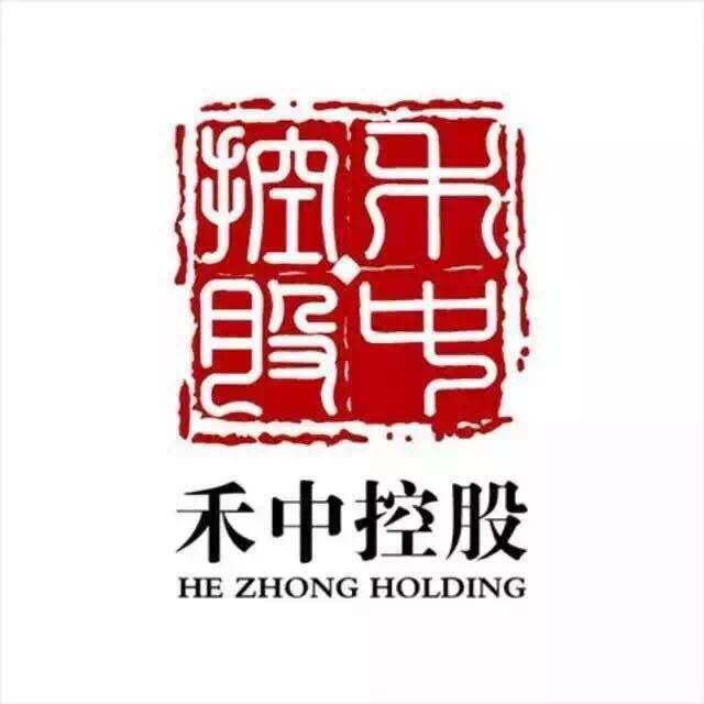 禾中控股集團(tuán)最新消息概覽，權(quán)威指南發(fā)布
