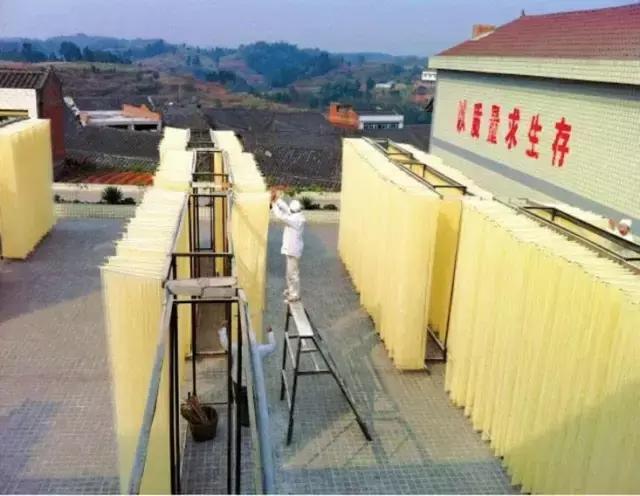 成宜高速公路最新動態(tài)，建設(shè)進展、特色亮點及未來展望