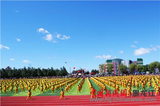 綏濱縣趙國(guó)友最新消息全解析，獲取指南與進(jìn)階技巧