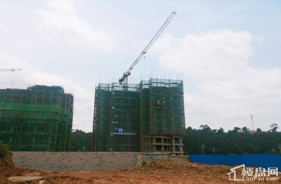 漢軍五象一號科技引領(lǐng)未來，最新動態(tài)揭秘生活重塑之力