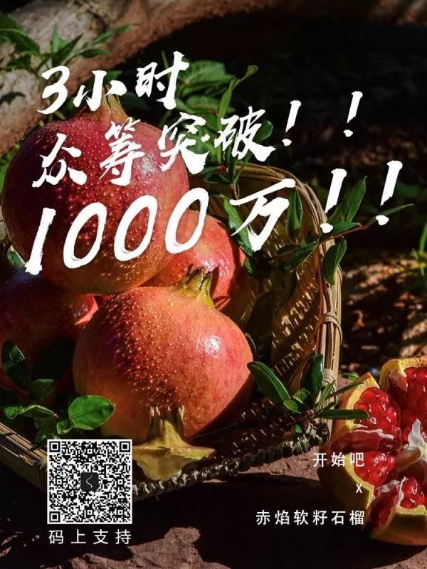 三楂紅眾籌最新動(dòng)態(tài)與消息速遞????