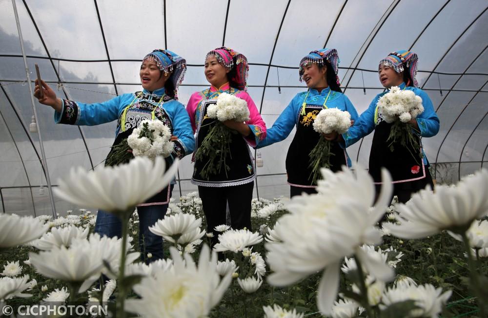 黔西縣鐘山鎮(zhèn)最新動態(tài)，溫馨日常的點(diǎn)滴記錄