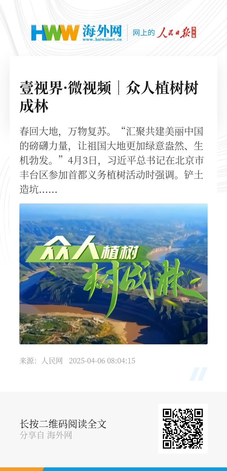 長(zhǎng)青樹(shù)眾籌最新動(dòng)態(tài)，小巷驚喜與特色小店的獨(dú)特魅力探索