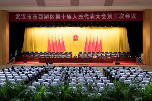 東西湖區(qū)最新任免，人事變動(dòng)的觀點(diǎn)闡述與解析