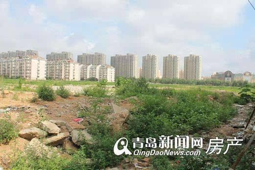 李滄楊哥莊最新動態(tài)，科技引領(lǐng)生活，智能新品體驗未來