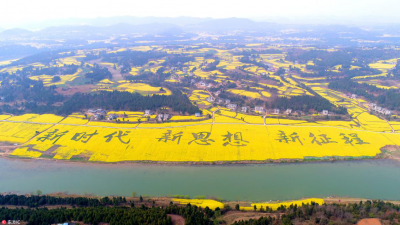 三臺(tái)縣龍樹(shù)鎮(zhèn)最新資訊更新