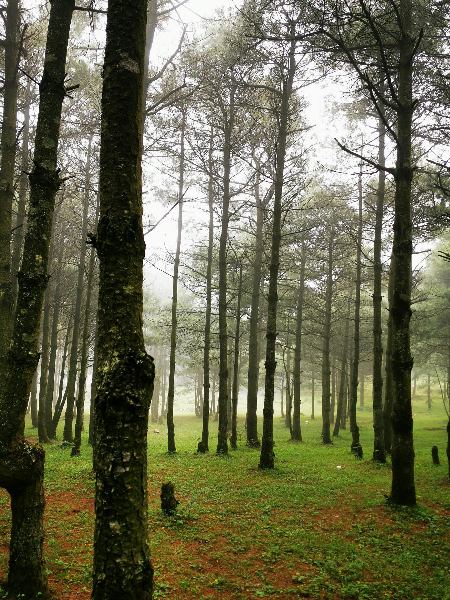 期貨世界第三部最新探索，與自然美景的邂逅與內(nèi)心平和的追尋