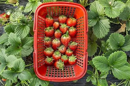 水悅龍庭證件最新進(jìn)展，自然美景探索之旅啟幕