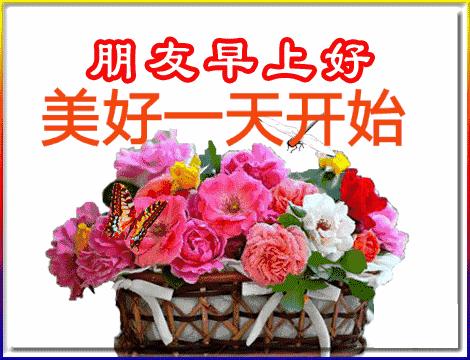 五福碰胡最新版下載，變化、學習與自信的力量之源