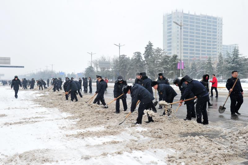杏園立交完工最新進展報告