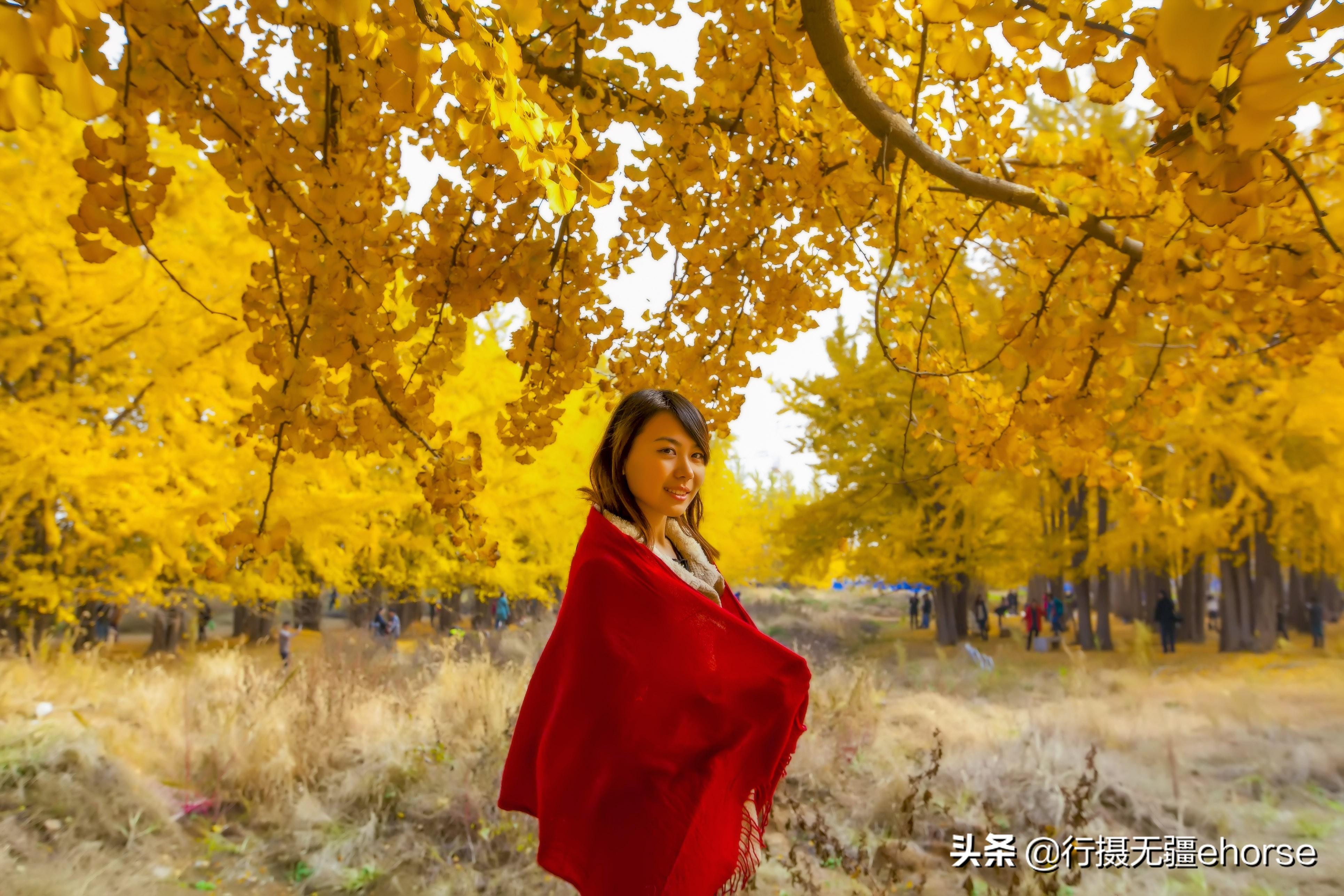 郯城與邳州事件最新進(jìn)展及關(guān)注應(yīng)對(duì)指南