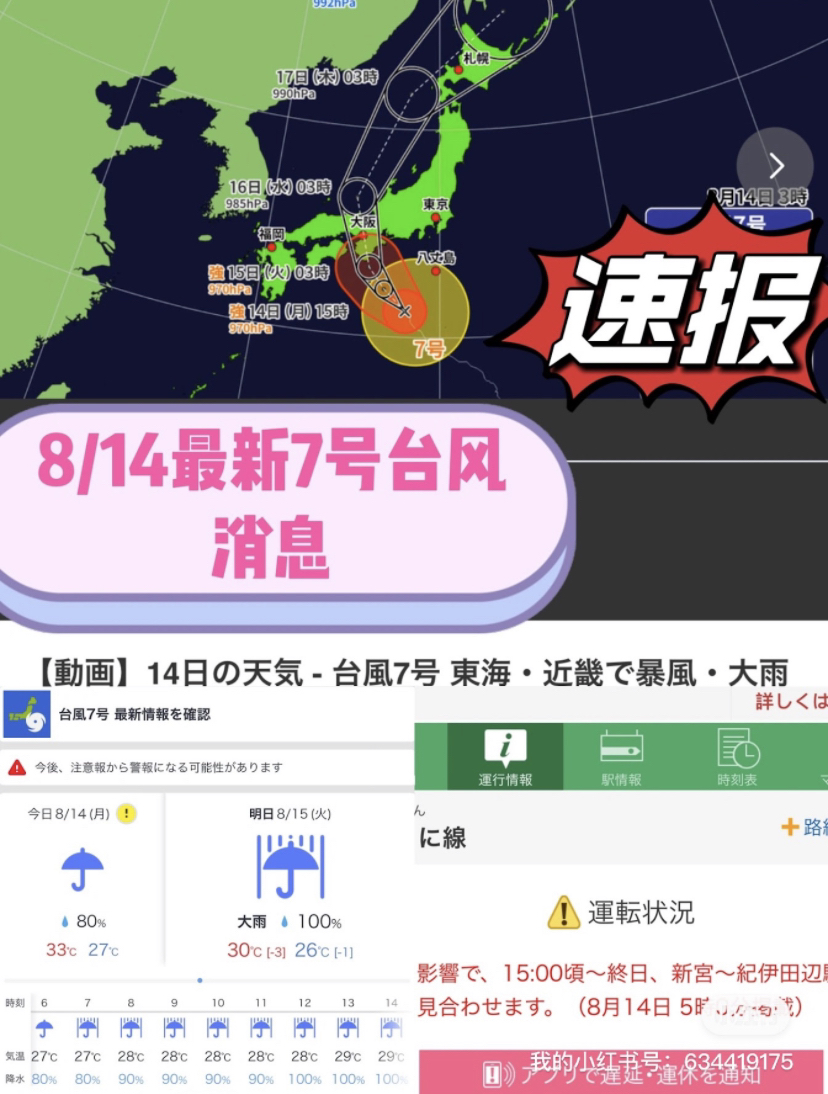 臺風(fēng)來襲，知識海洋并肩作戰(zhàn)，最新關(guān)于臺風(fēng)12號的消息報告