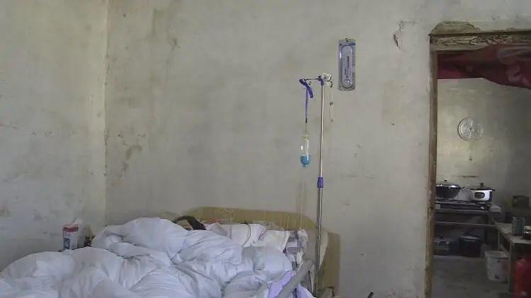 成武縣汶上鎮(zhèn)探秘，巷弄深處的獨特小店最新消息揭秘