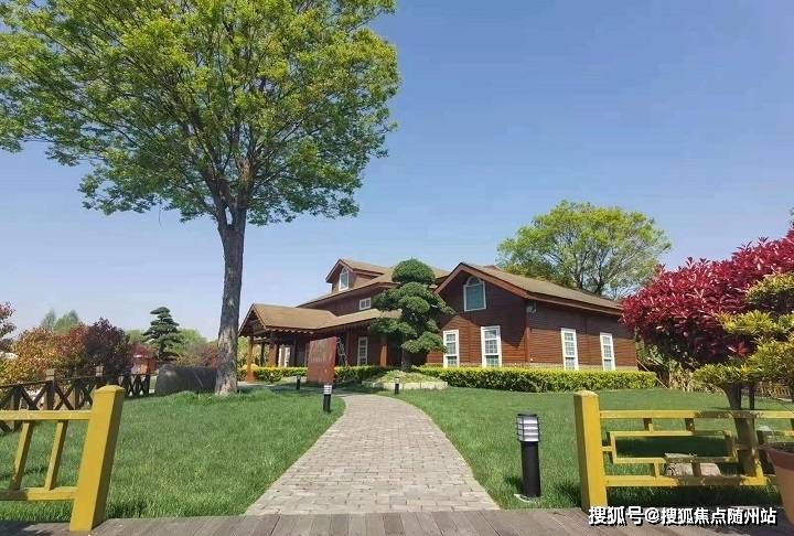 變化中的學(xué)習(xí)之旅，中澤純境最新消息與自信成就之源