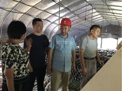 陳瑤湖汪朝龍，心靈與自然的美妙之旅最新報(bào)道