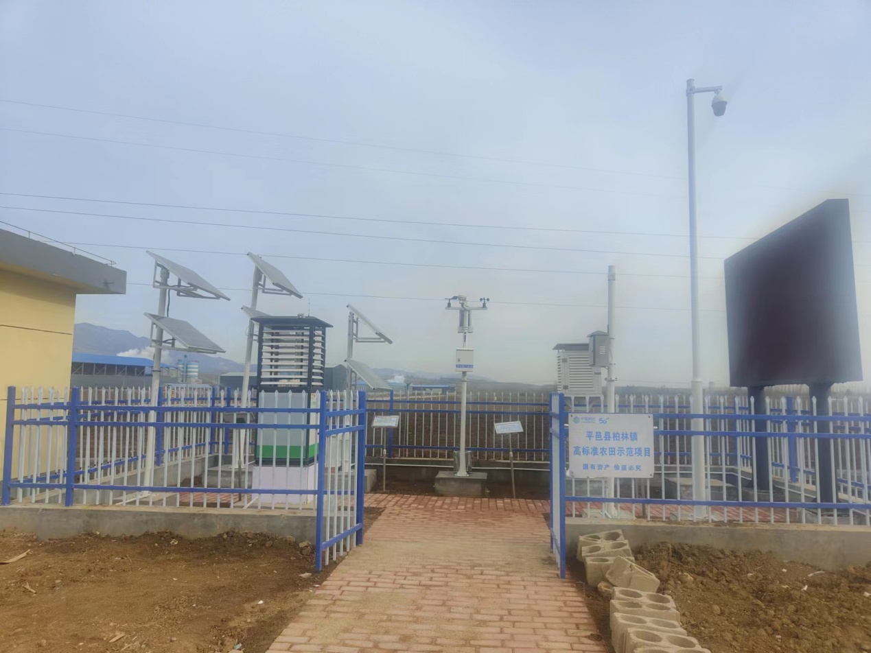 平邑縣鄉(xiāng)村豐最新動(dòng)態(tài)，繁榮背后的故事揭秘