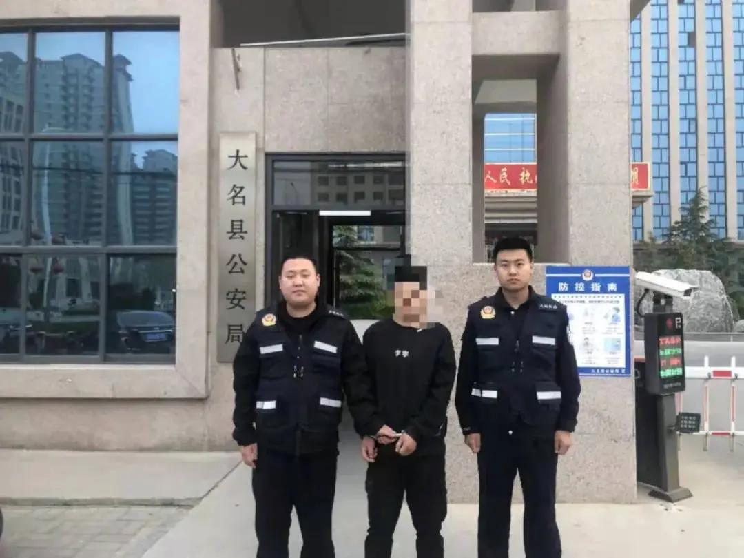 大名出租房屋最新動態(tài)，全面指南與最新消息