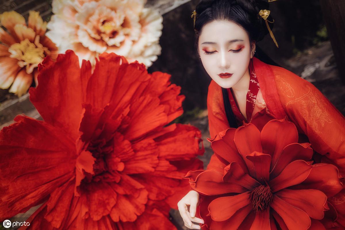 三亞海棠月色最新動態(tài)更新，最新消息匯總