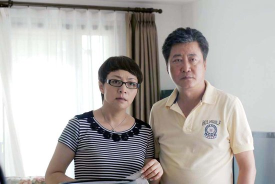 趙寶剛最新電視劇深度解析與探討，新劇探討與探討