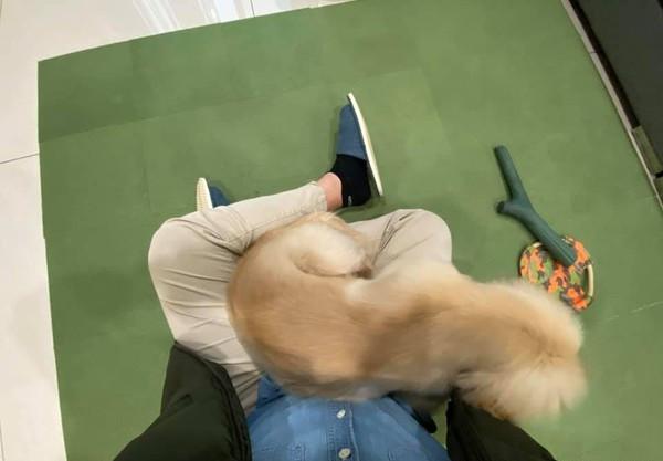 探索萌文化的魅力之旅，最新章節(jié)閱讀大全