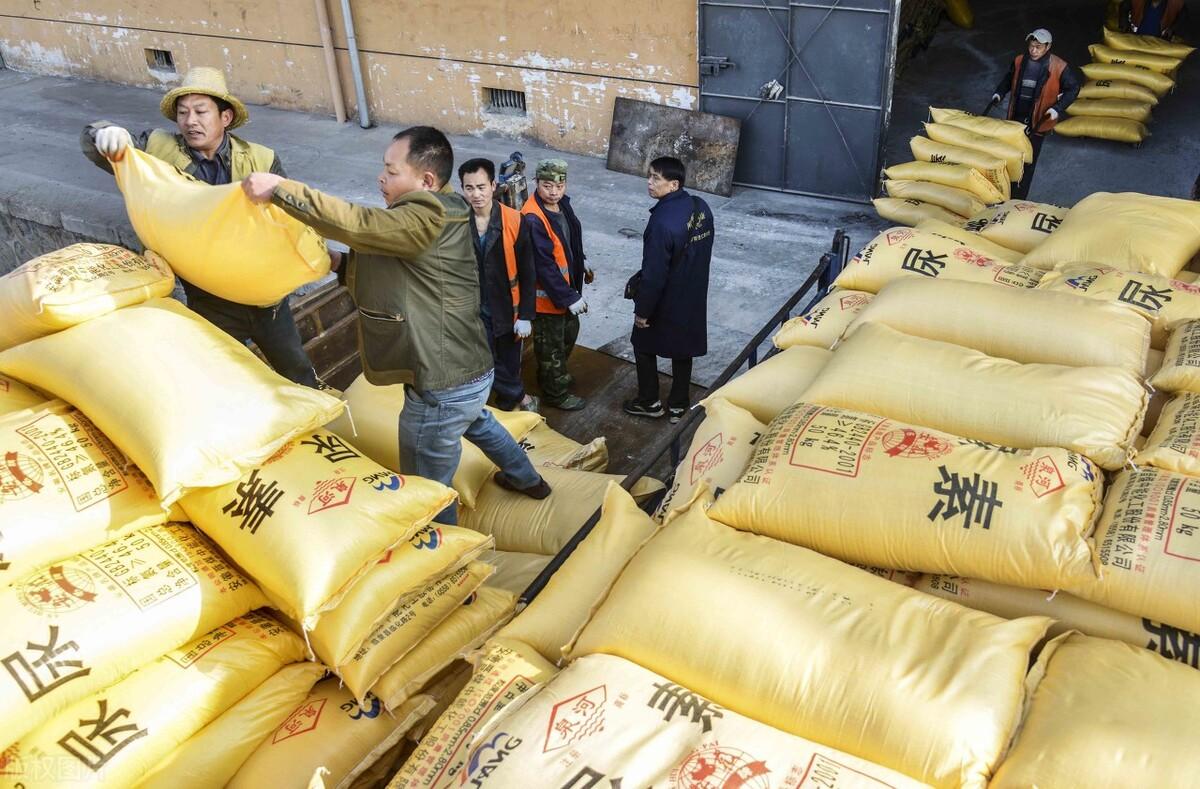 全國尿素最新價格，科技重塑生活下的新面貌