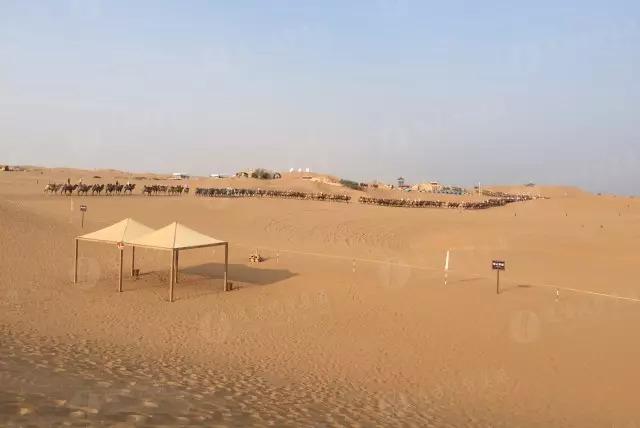 寧夏自駕游攻略大揭秘，最新攻略分享