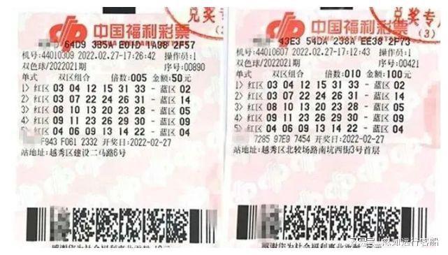 雙色球最新探索，自然美景的冒險之旅