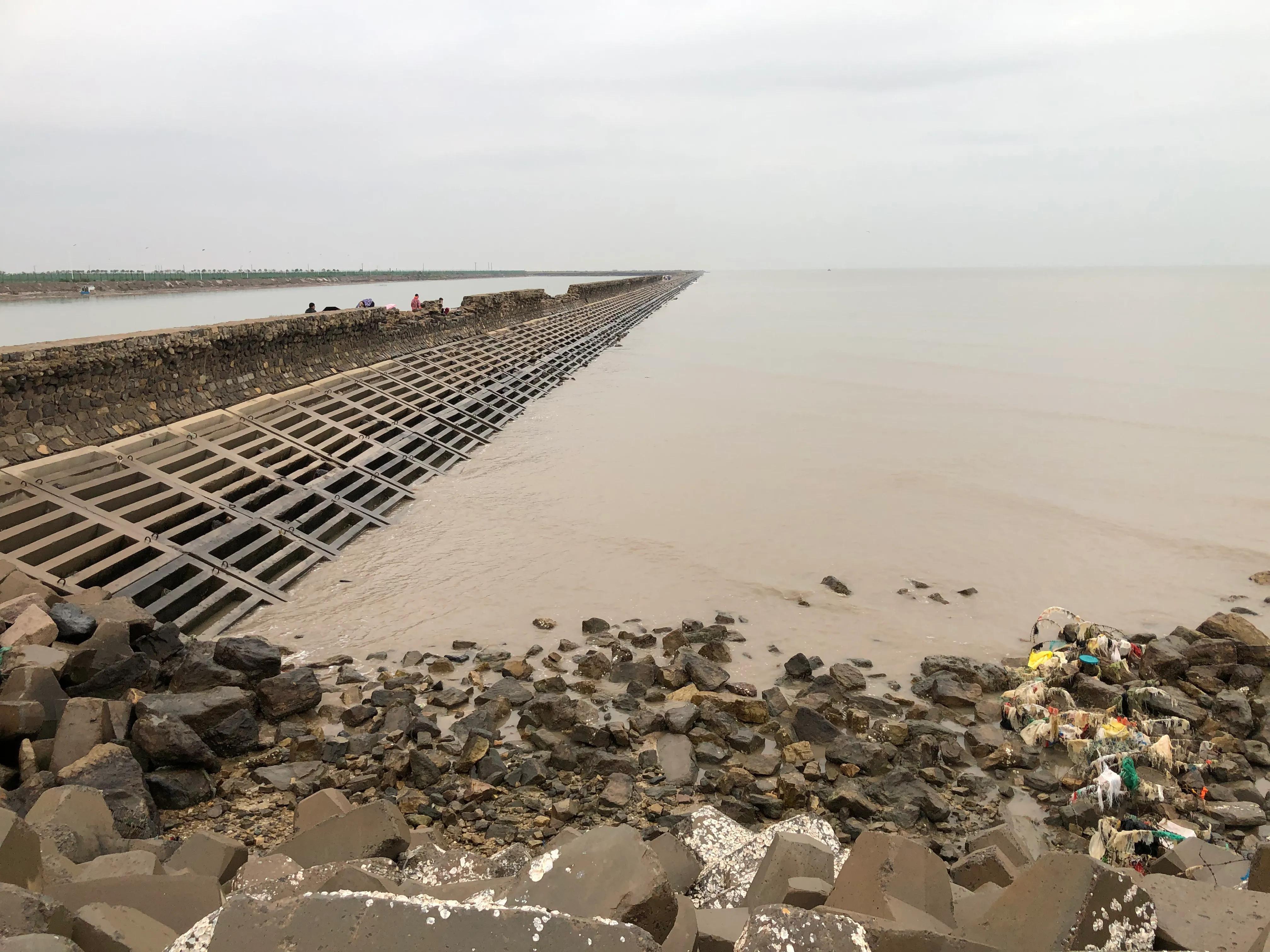 黃驊港最新招聘動態(tài)，日常招聘故事與友情紐帶