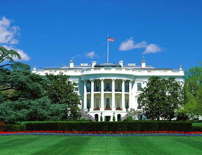 探索自然美景魅力的心靈之旅，最新紙品資訊與動(dòng)態(tài)