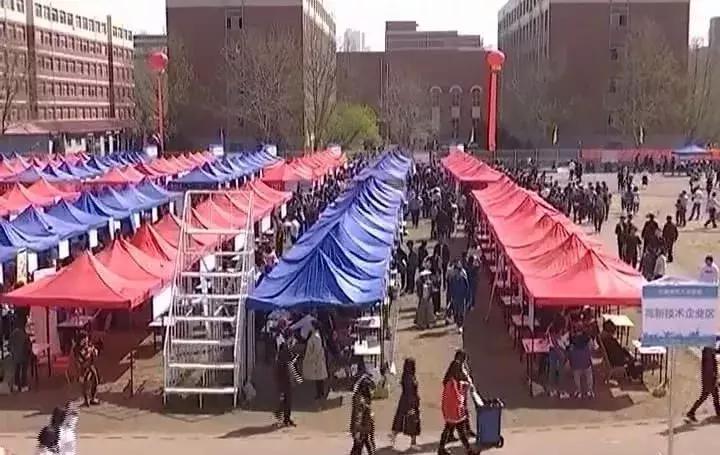 臨淄招聘最新動(dòng)態(tài)，友情紐帶與家的溫馨之旅