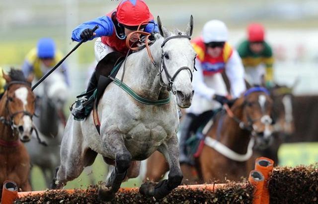 羅牛山最新動(dòng)態(tài)及相關(guān)論述概述