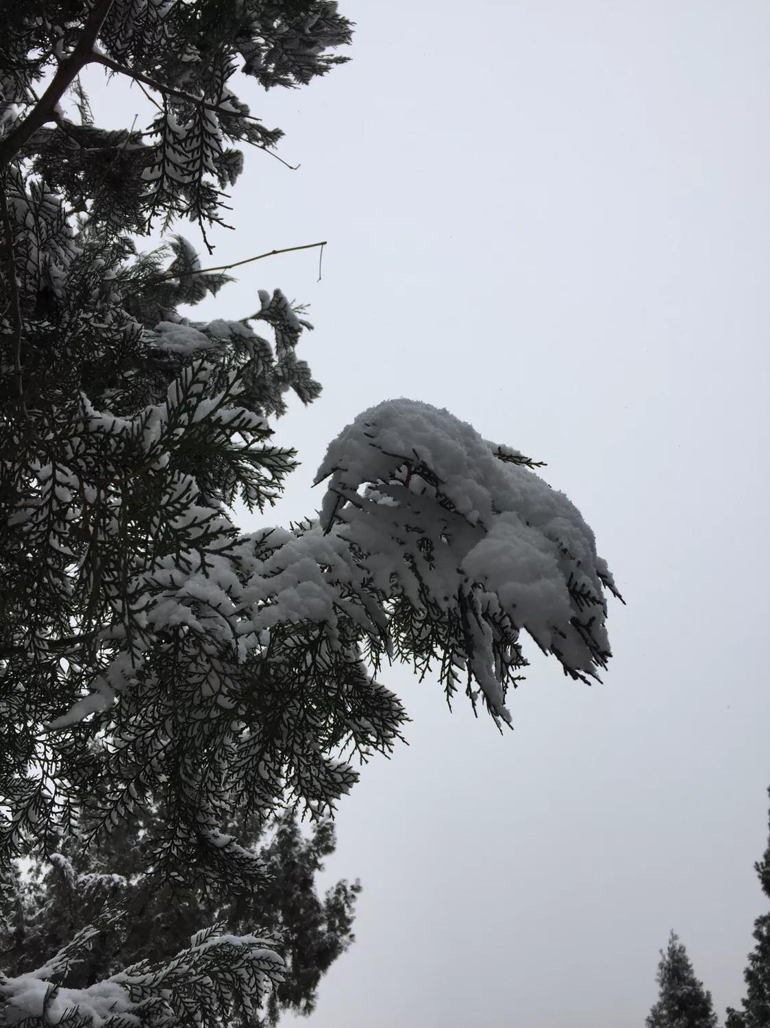 無錫馬山最新規(guī)劃揭秘，規(guī)劃下的生活日常探索