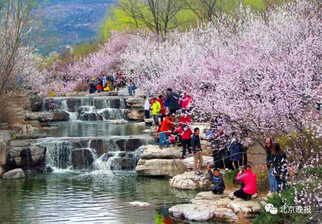 北京市天氣預報最新更新