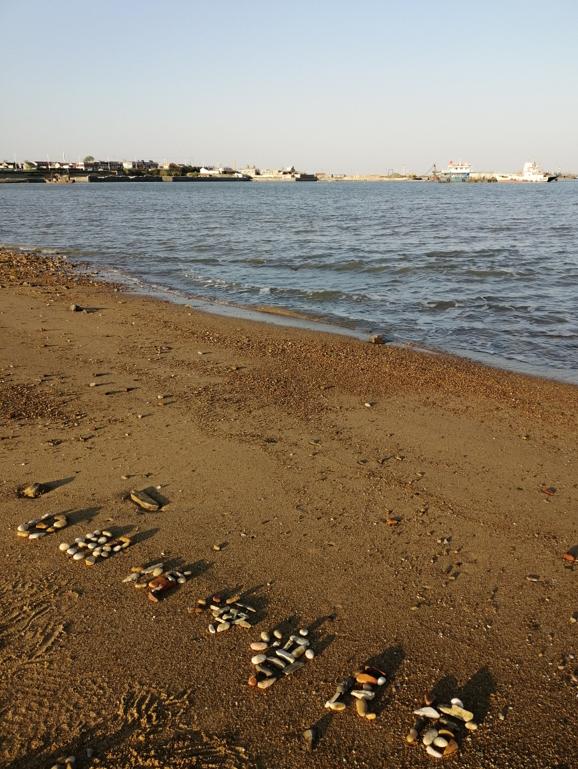 最新高速公路地圖解讀與論述，觀點與視角分享