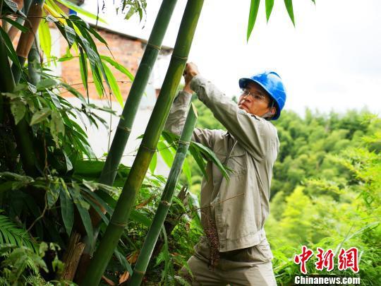 寧德臺風(fēng)最新動態(tài)，科技智能守護安全前沿